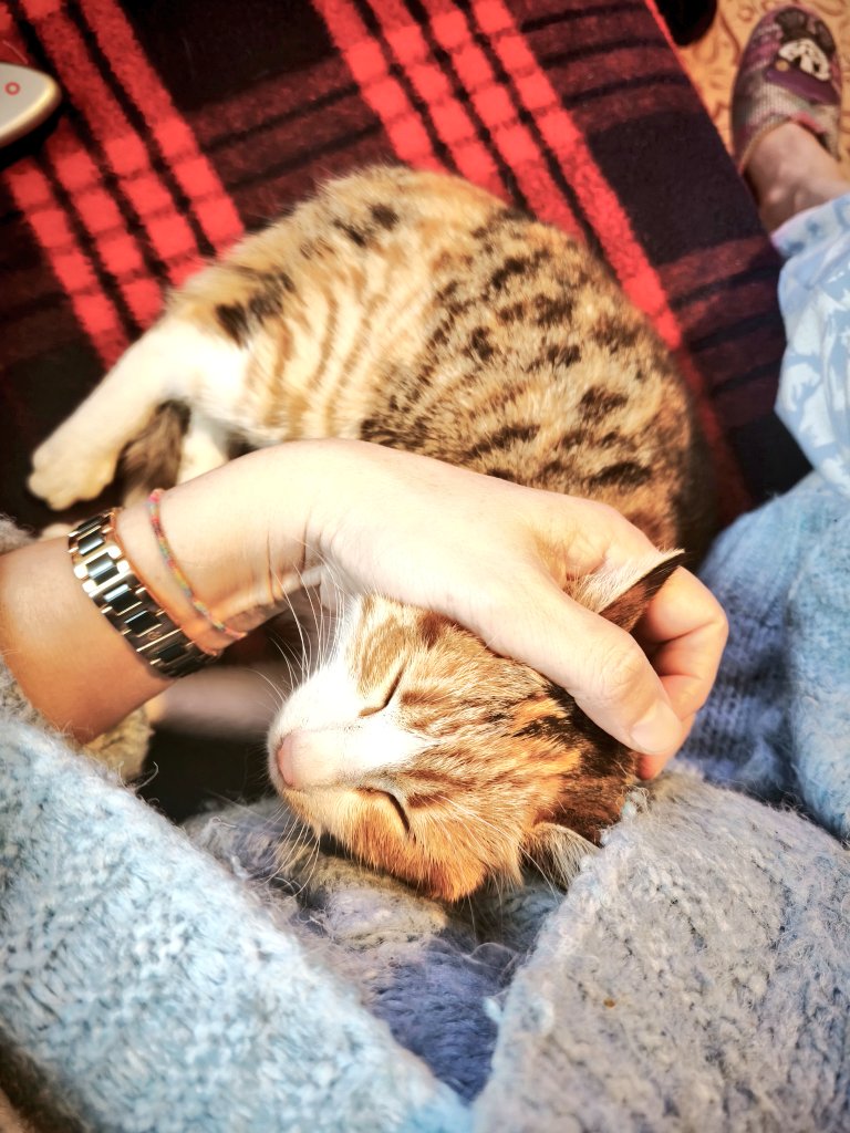 O kadar zor alıştım ki sana bu kadar sevebileceğim benim de aklıma gelmezdi 🥰