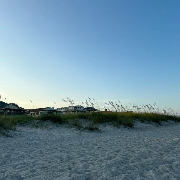 tsitp final season. i’m gonna miss this so much.