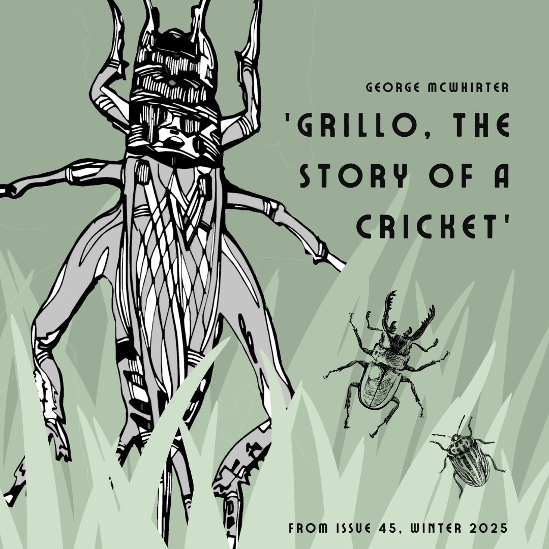 pulpliterature's tweet image. Magpies, Bumblebees, and Crickets - mailchi.mp/c04940dad016/w… Find updates from our first two contests of the year, along with a look at our feature story from Issue 45 in this week&apos;s Pulp Spec newsletter.

#SFF #specfiction #flashfictioncontest #poetrycontest #writingcontest