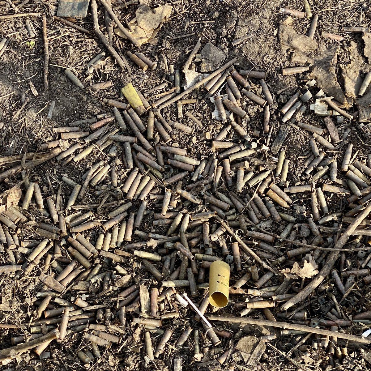 кто хуй я хуй а может ты хуй tweet media