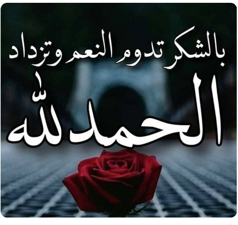 تعليق واعاده نشر تنزل في الدعم السريع 🫡
#دعم_علي_بن_علي
<a href="/Ali66602566/">̨Ali matash</a>
<a href="/MAmuhmdi/">الإعلامي محمد المحمدي</a>
<a href="/haifaalrajh/">هيفاء الراجحي</a>
@amlaldwsry2023
<a href="/abdullah11980/">عبدالله الشملاني</a>
<a href="/aliimran893/">MUHAMMADALI🇵🇰</a>
<a href="/lym_al5577/">🇪🇬🇪🇬Apdalaleem.</a>
<a href="/twfan86825/">عميد ألبيان</a>
<a href="/nzy_al57533/">عبدالعزيز</a>
<a href="/nzy_al57533/">عبدالعزيز</a>
<a href="/mkhtrsdldn/">مختار سعدالدين</a>
<a href="/AlassdMoha78442/">السيد/محمدالاسد</a>
@A1__A1_
<a href="/afnanw259585/">afnan w</a>