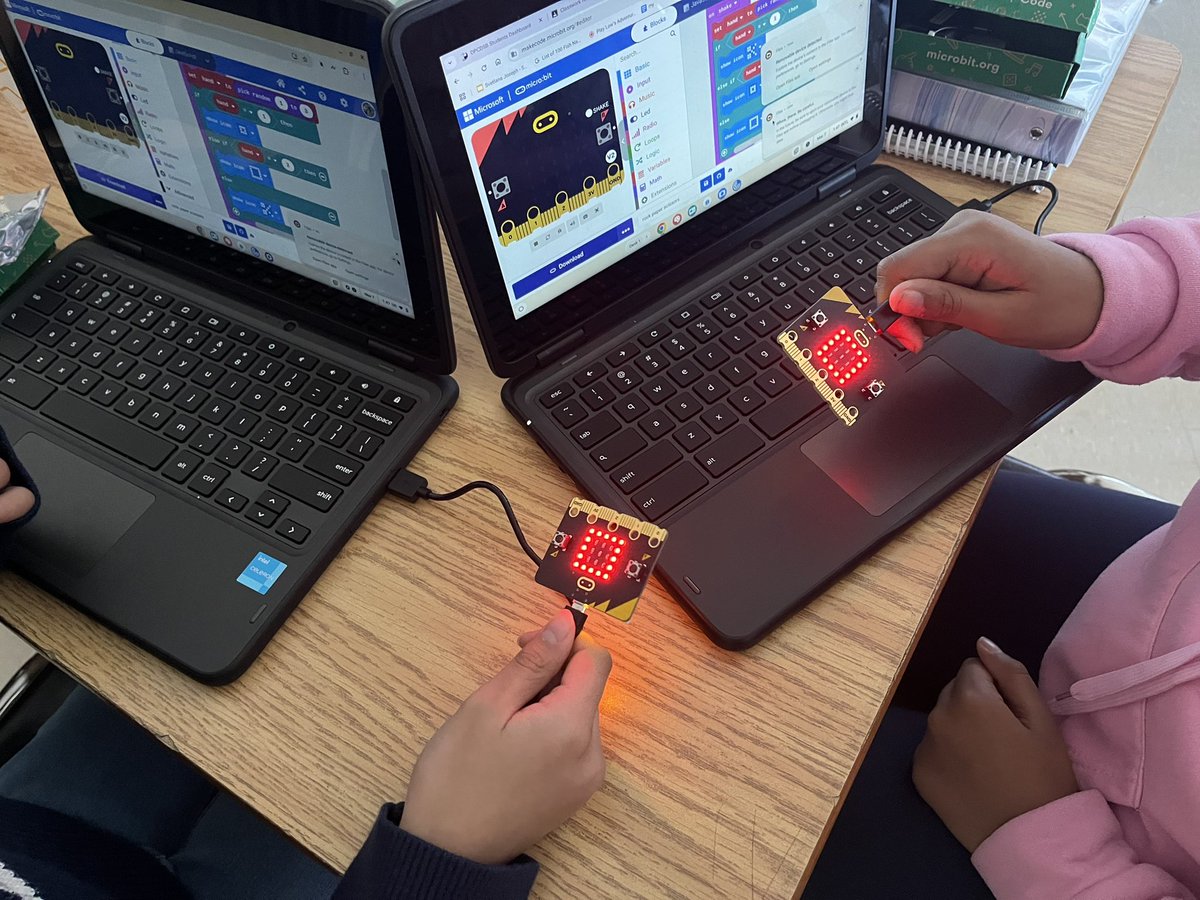 C. Rapa-Perri 🌻 tweet media