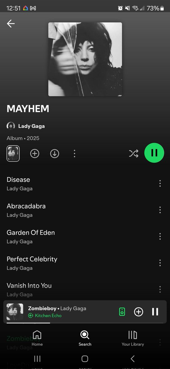 CookieBearNJ's tweet photo. What do we think yall!?  I love it!! #ladygagamayhem #MAYHEM 
Where my BEASTS at?! https://t.co/EgHbNgOI4f