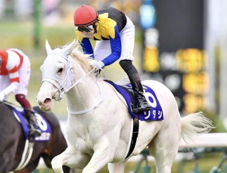 MarubeniTakashi's tweet photo. Happy birthday #SODASHI🤍 (March 8, 2018-) 💐
White horse & G1 three wins are wonderful😍
May you live a long and healthy life and give birth to many cute foals🐴
G1:🏆🏆🏆
G2:🏆
G3:🏆🏆
7 wins in 16 races🎉
#HappySodashiDay #ソダシ🤍 https://t.co/7hETj8bt0w