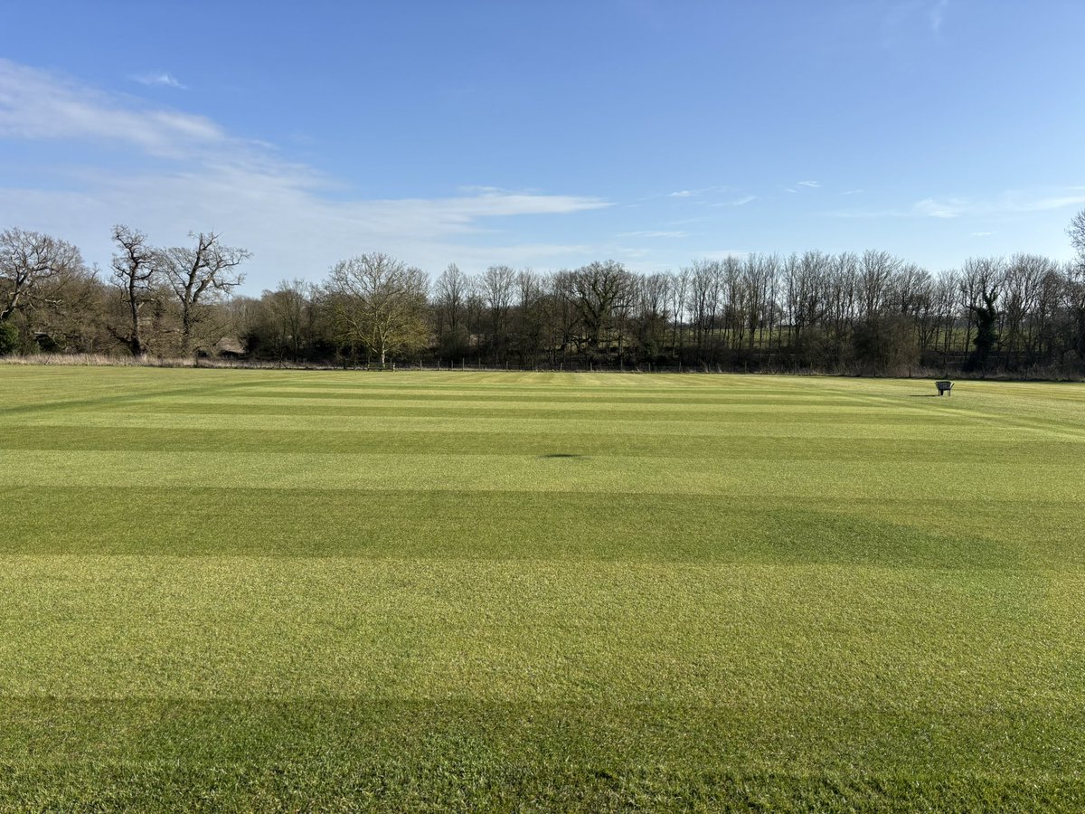 Jamie Foyster tweet media