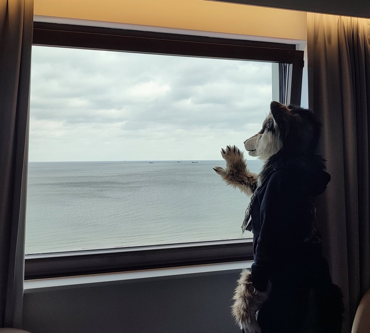 Heppy  #FursuitFriday
It was fun, but I have to say goodbye to the beautiful view from my window in my hotel room. 😔
#gdakon 2025 

Photo taken by Skaza