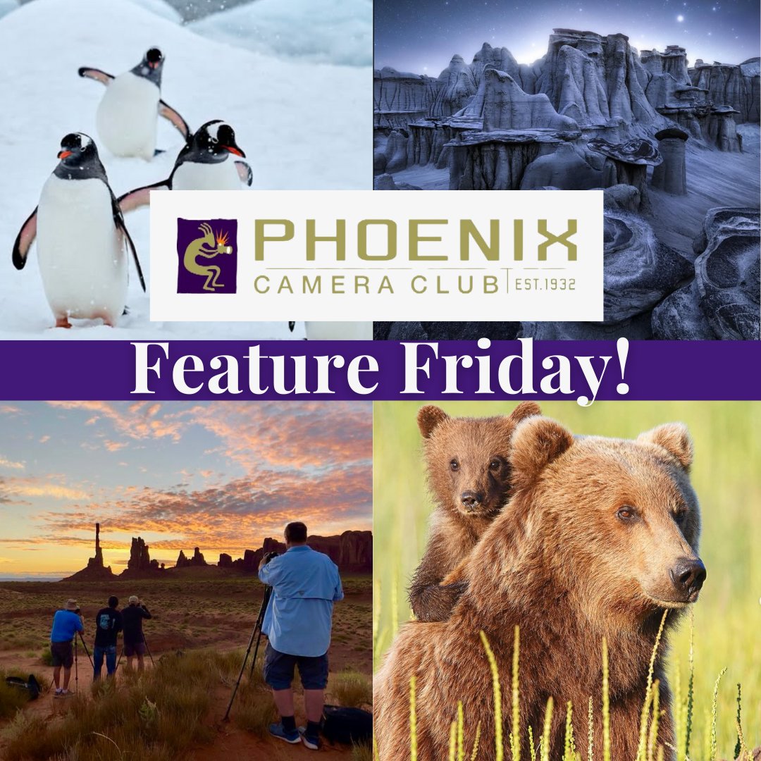ArtisanHD's tweet photo. This month, we’re excited to feature the @Phoenix Camera Club, a community that brings photographers together to grow, share, and inspire! 

Learn more at https://t.co/lr9Q2RCwxn. https://t.co/MDhsyc5LDh