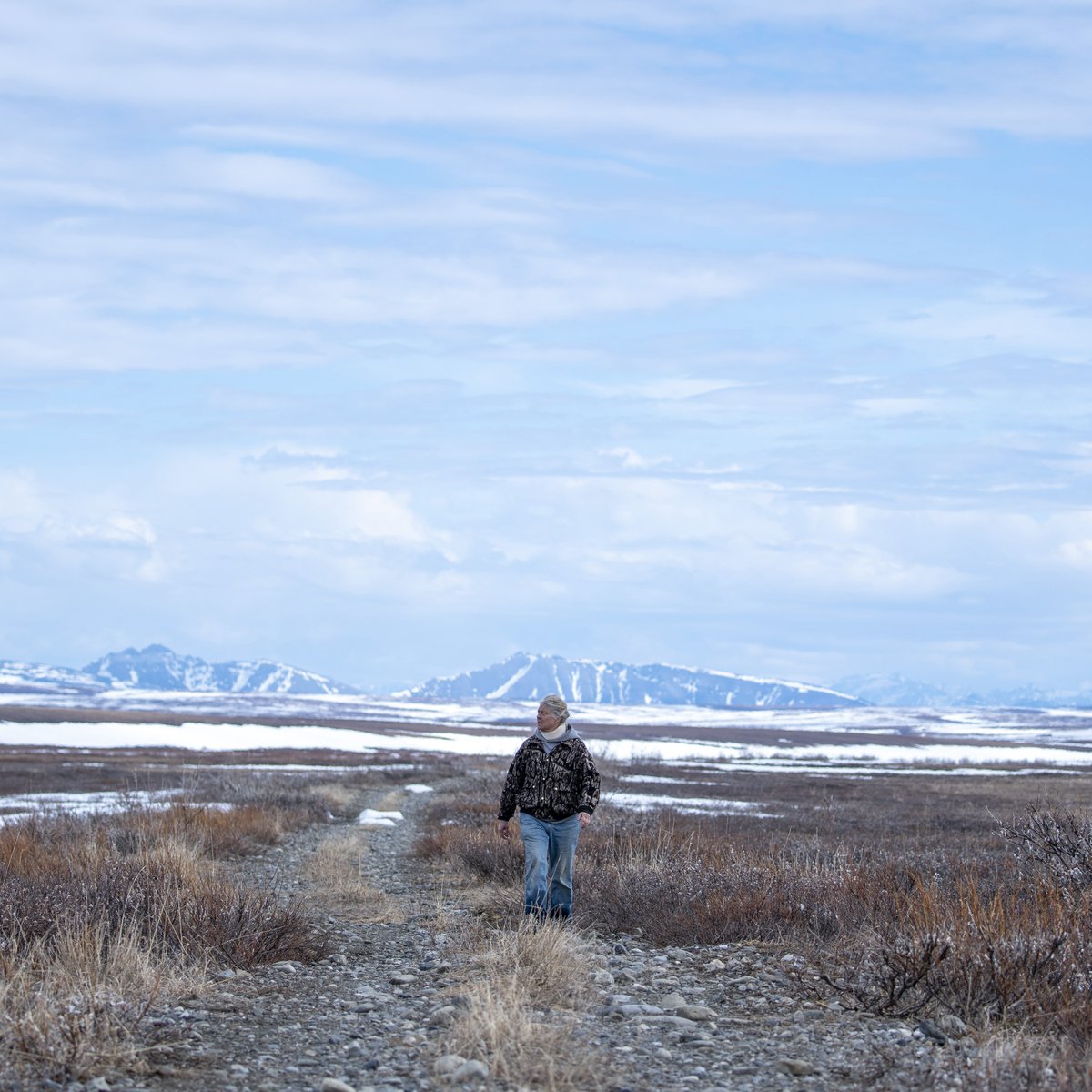 SueAikens's tweet photo. Sue Season recap!! #LifeBelowZero https://t.co/YAiQ9VmbvP