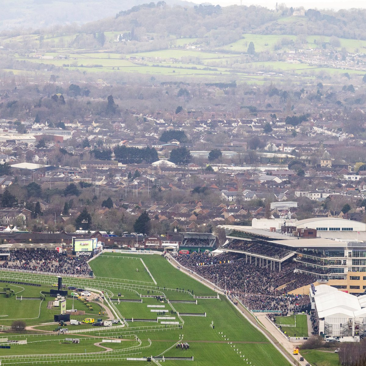 RacingPost's tweet photo. THREE days until the Cheltenham Festival 🙌 https://t.co/HMBoKaRR3M