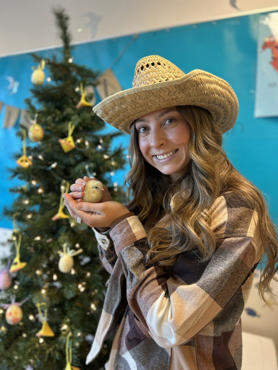 Victoria Sgattoni tweet media