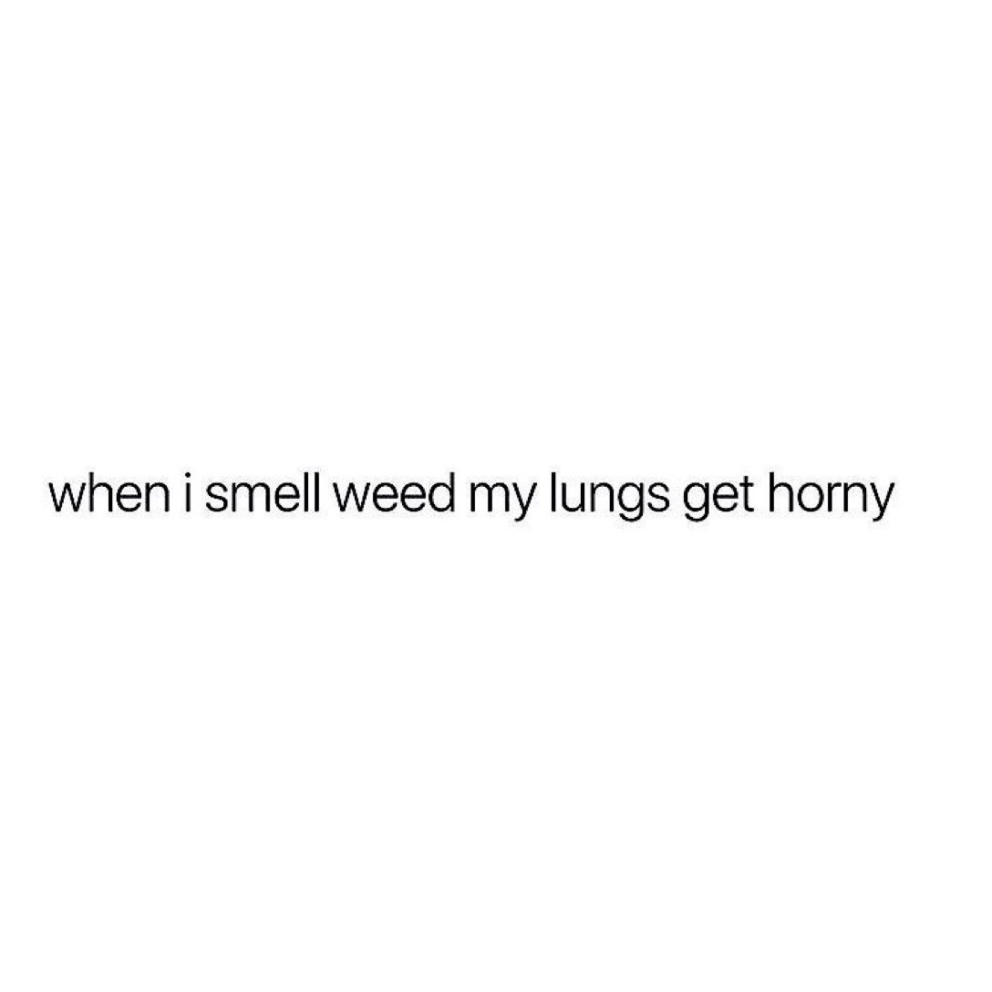 stonersvilla's tweet photo. https://t.co/dITMAeG4JV
