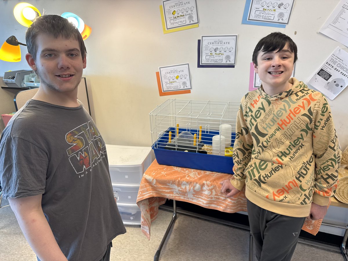 Victoria Sgattoni tweet media