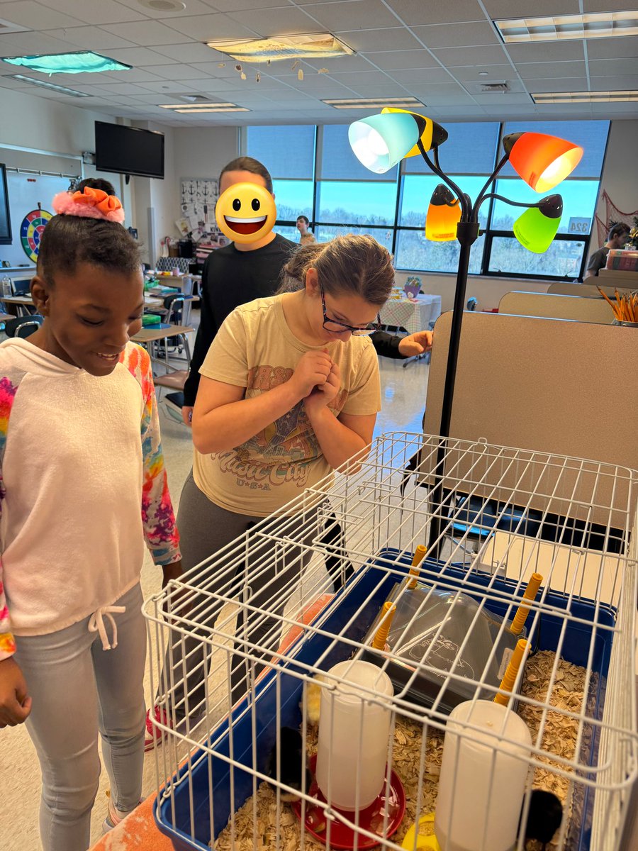 Victoria Sgattoni tweet media