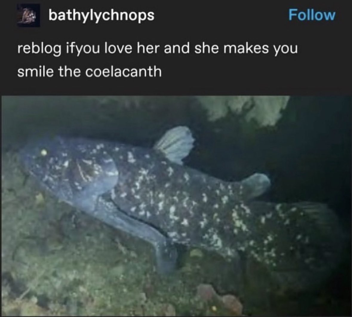 shyren!! (@siresimi) on Twitter photo 