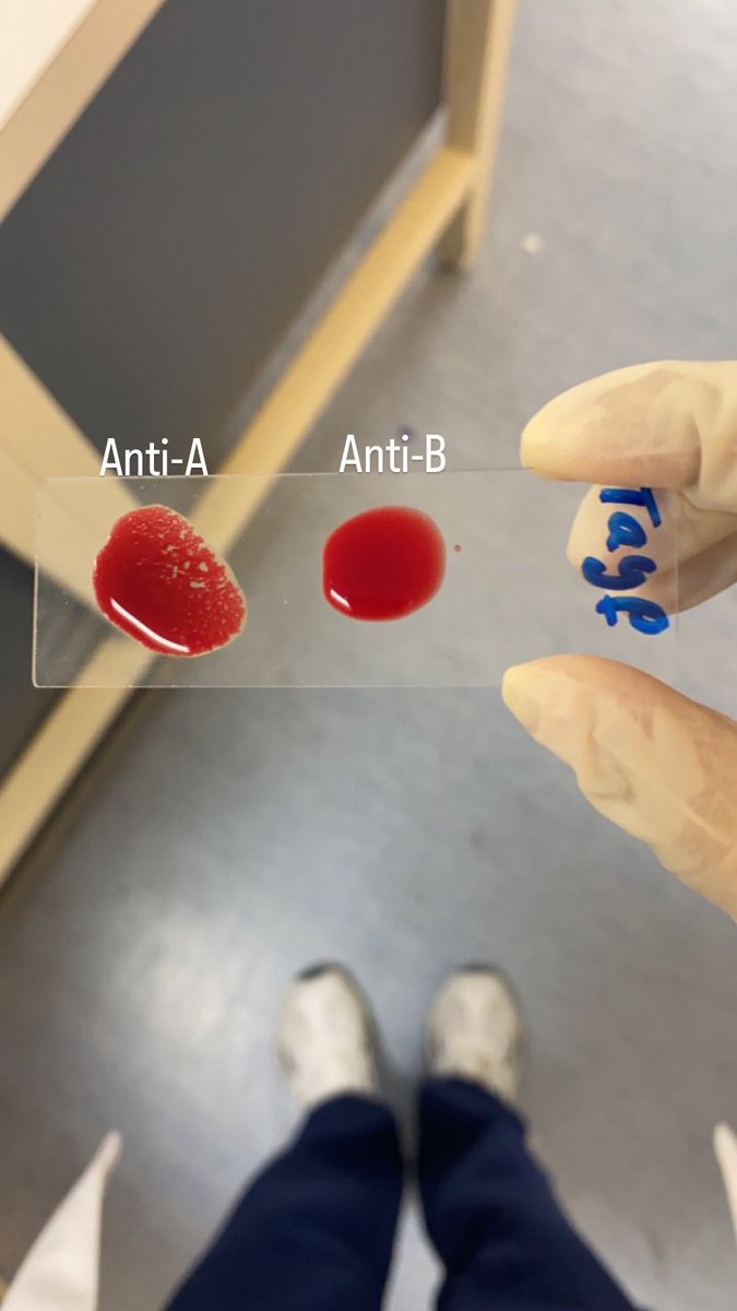 MLS. Tayf tweet media