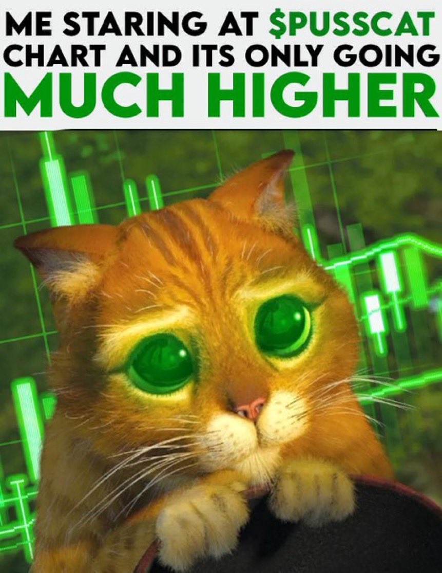 3volve6ix's tweet photo. @lynk0x Are you ready for #pusscat?

UbCSotjZpnDYrFk8vydbJWxYEuoJiSptyujPojApump https://t.co/wUMEO3dxnc