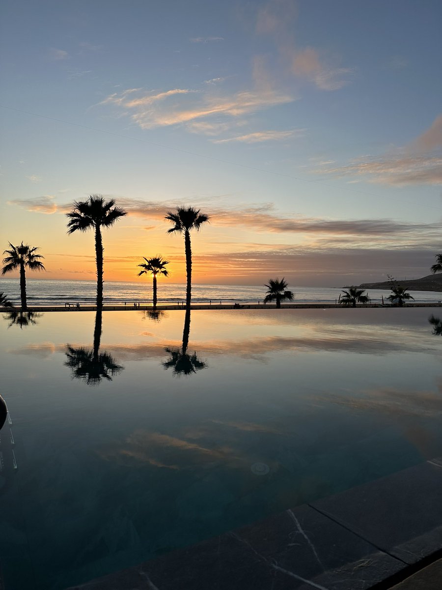 PAUL FARTHING tweet media