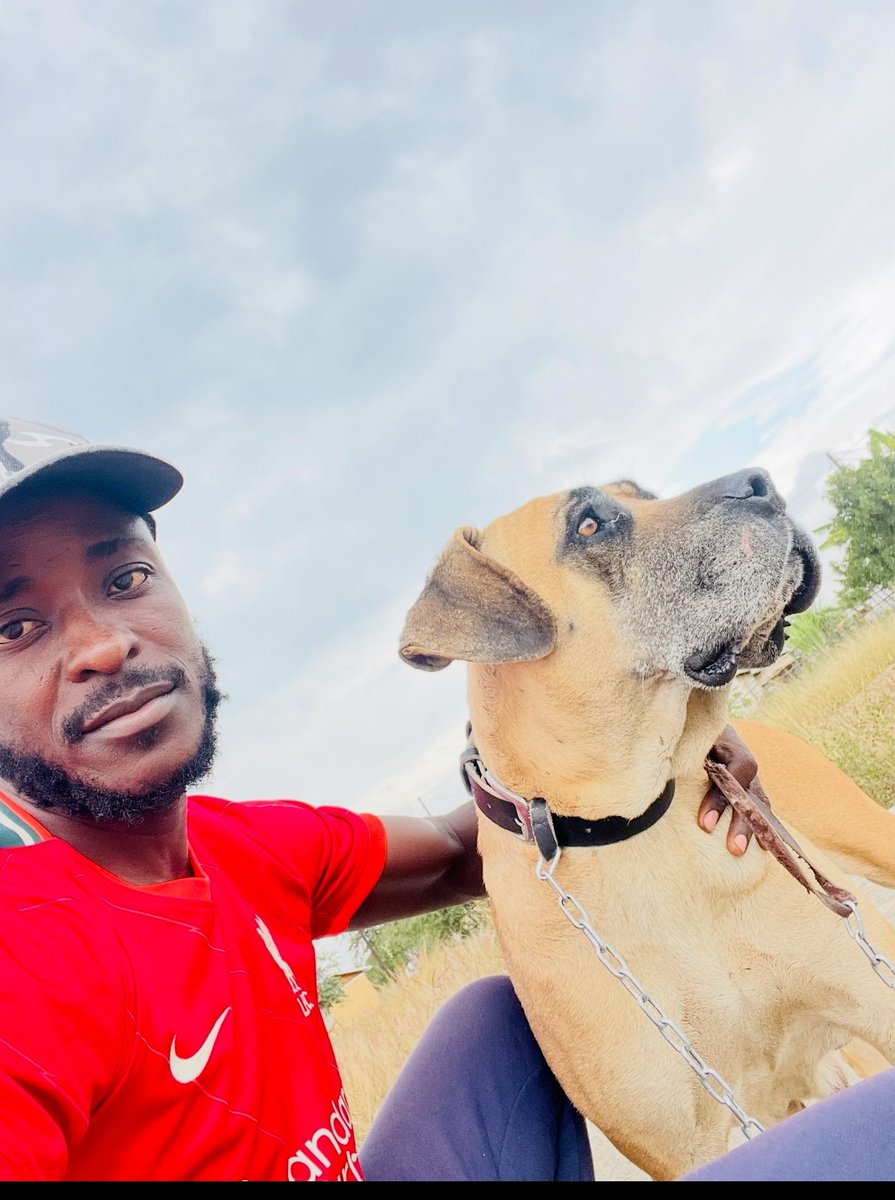 The Prince Machiavelli tweet media