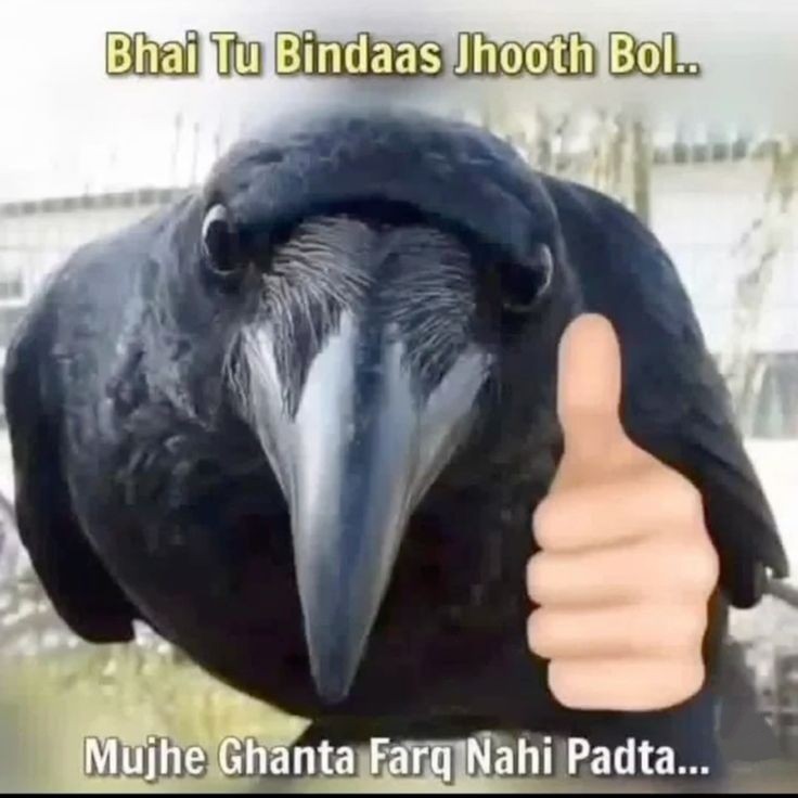 ⁣krishhhhh tweet media