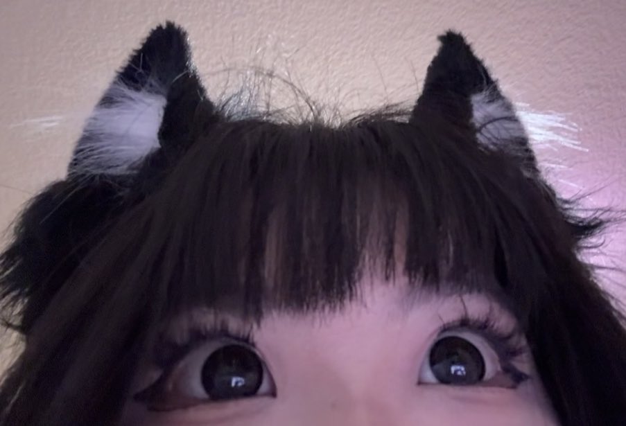 KazyGore's tweet photo. @Irelyth ? https://t.co/PEEod3mj3O