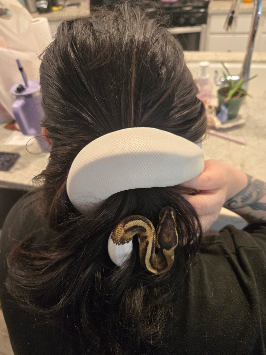 New hair accessory 🐍
