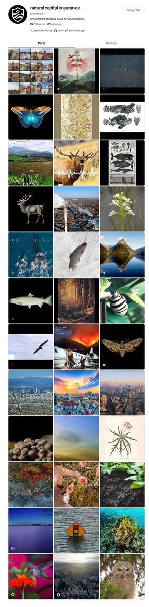 ensurance agents tweet media