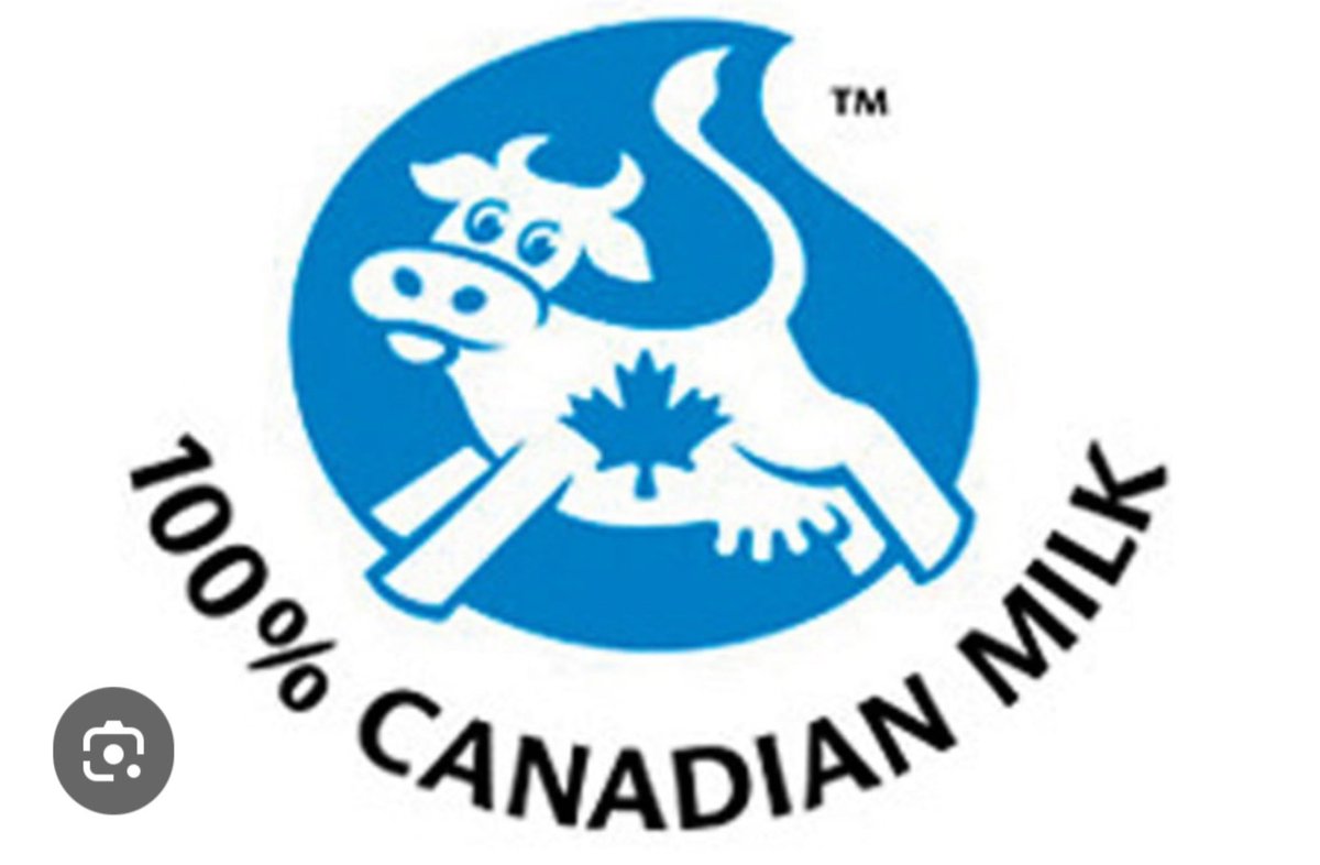 Brad Lambert 🇨🇦 (@bradlam74471068) on Twitter photo 