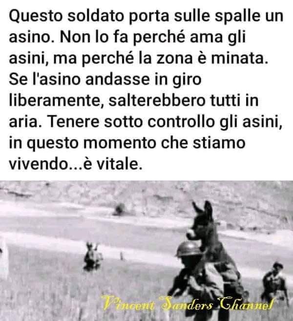 giuseppefusilli's tweet photo. https://t.co/7BcYqep1UY