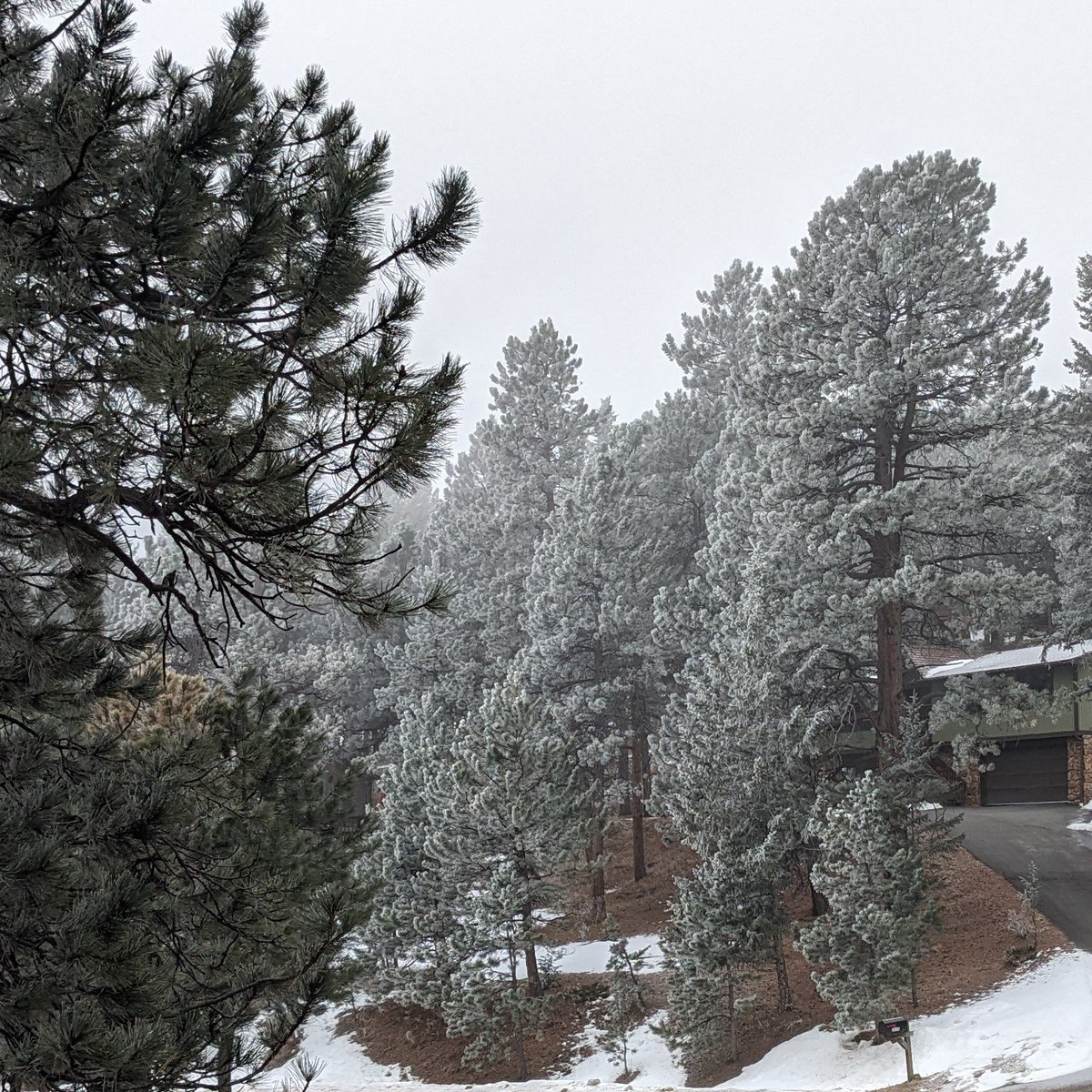 Frosty Friday in Evergreen. Temperatures in the 20s with just a trace of snow. #cowx