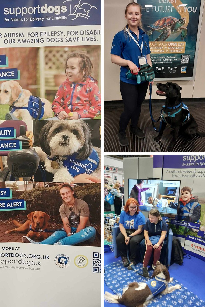 adiintl's tweet image. It was great to catch up with some of our members at @Crufts today. It's always good to take the opportunity to show the world what these incredible #assistancedogs can do! With @DogsForGoodUK @supportdogsuk @HearingDogs @MedDetectDogs @AdamHenson #lifechangers