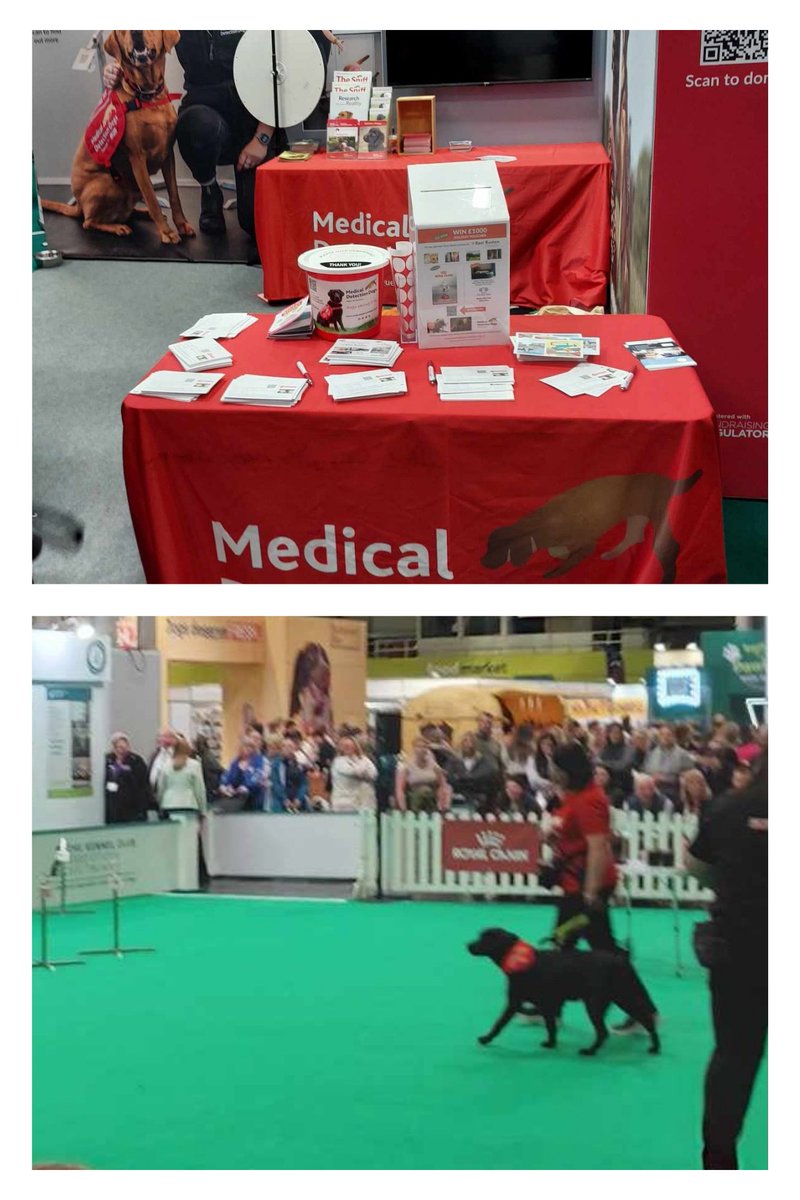 adiintl's tweet image. It was great to catch up with some of our members at @Crufts today. It's always good to take the opportunity to show the world what these incredible #assistancedogs can do! With @DogsForGoodUK @supportdogsuk @HearingDogs @MedDetectDogs @AdamHenson #lifechangers