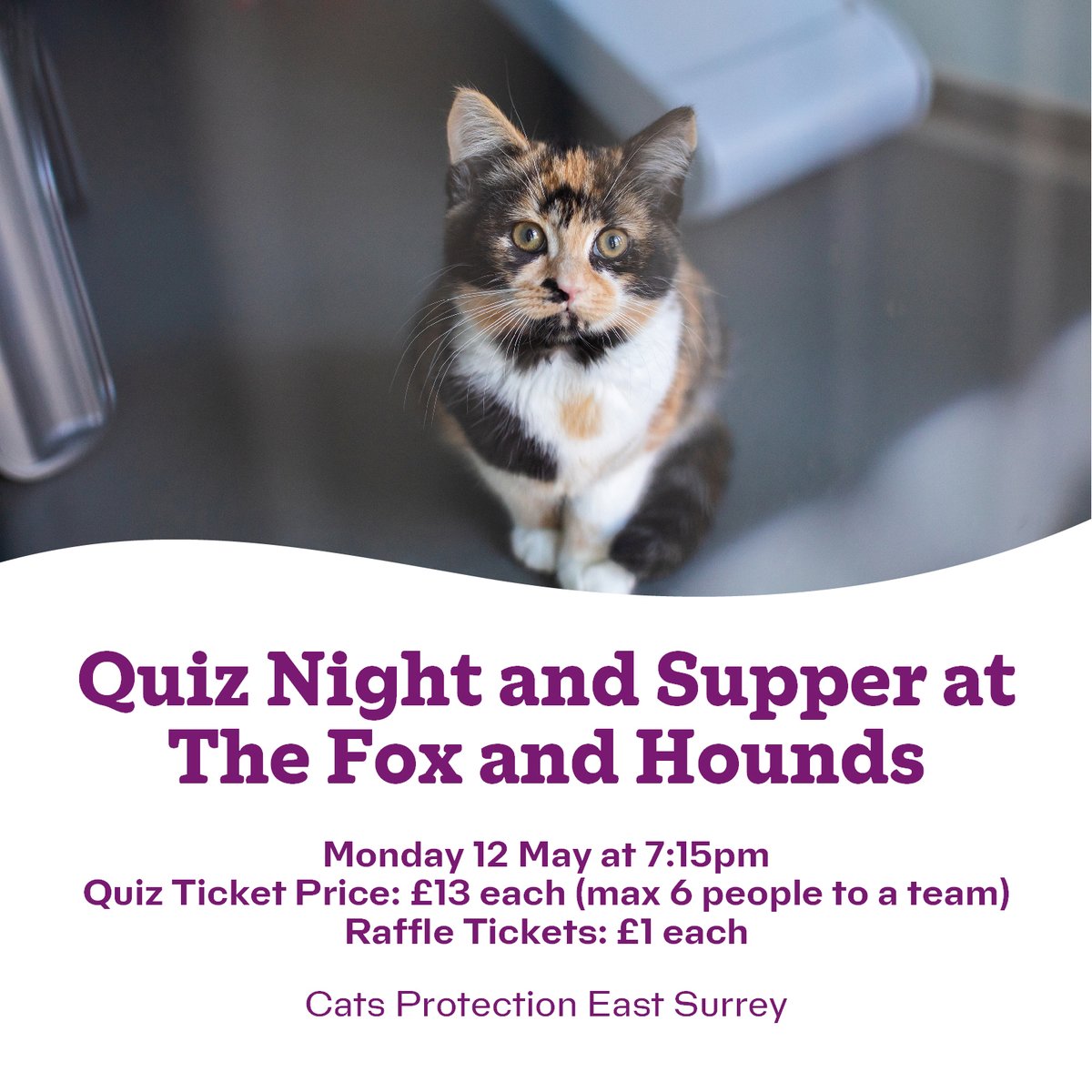 Cats Protection ES (@eastsurreycp) on Twitter photo We have places availble for our #PubQuiz on Monday 12 May - all funds raised help the cats in our care!
Supper choices TBC
Raffle prizes TBC
*Drinks not included
**Limited parking
Pop an email over to fundraising@eastsurrey.cats.org.uk
#CatsProtection #CatsProtectionEastSurrey We have places availble for our #PubQuiz on Monday 12 May - all funds raised help the cats in our care!
Supper choices TBC
Raffle prizes TBC
*Drinks not included
**Limited parking
Pop an email over to fundraising@eastsurrey.cats.org.uk
#CatsProtection #CatsProtectionEastSurrey