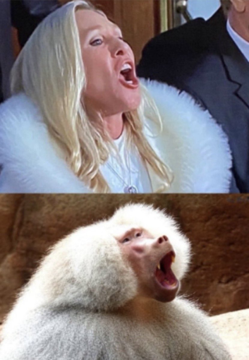 <a href="/patriottakes/">PatriotTakes 🇺🇸</a> And this lunatic calling president Biden a “liar” was perfectly fine right Hoebert? Theses clowns have no shame