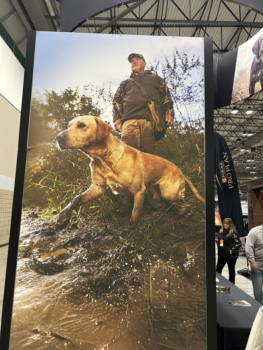 Juice Kiffin (@juicekiffin) on Twitter photo āI don't know how to put this, but Iām kind of a big deal.ā Or so <a href="/wildrosekennels/">Wildrose Kennels</a> tells me that I am! āI don't know how to put this, but Iām kind of a big deal.ā Or so <a href="/wildrosekennels/">Wildrose Kennels</a> tells me that I am!