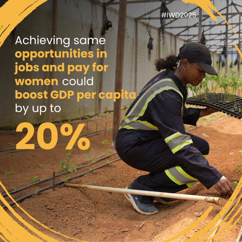 WorldBankGroup's tweet photo. In the next decade, 1.2B youth will enter the workforce, but only 420M jobs will be created, leaving many, especially young women, without opportunities.

Learn how @WorldBank is boosting women’s access to jobs &amp; expanding economic opportunities. #IWD2025