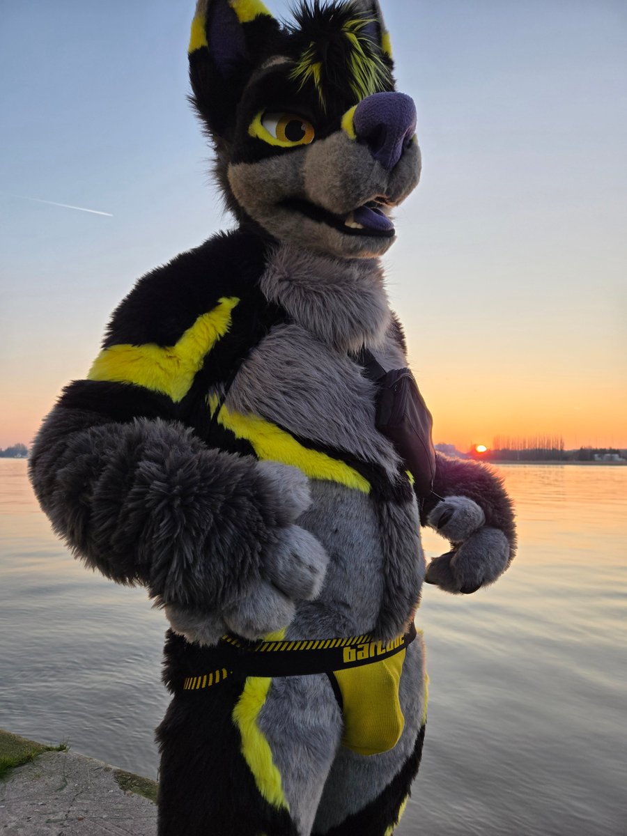 I've been a good boy in <a href="/DarklandsFest/">Beyond Darklands Festival Antwerp 🇧🇪🔞</a>  😋

Pic by <a href="/ColtRubberStud/">Colt Stud</a> 

#FursuitFriday