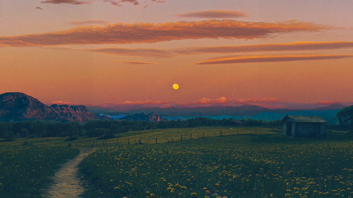 post wook ✨🌻 tweet media