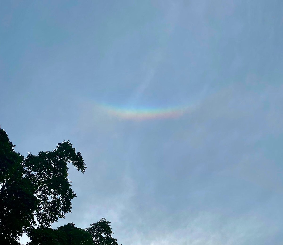WORD OF THE WEEK 💬
Circumzenithal arc — An arc centered on the zenith and found at least 46° above the sun (or moon).

Read more about circumzenithal arc through the AMS Glossary: bit.ly/4h3xPuF

Photo credit 📷: Lourdes B. Avilés