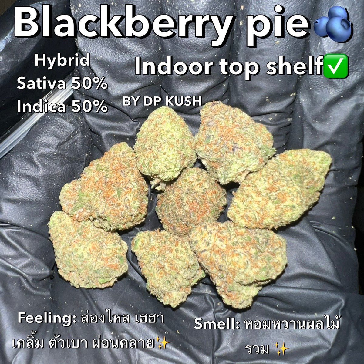 DP Kush tweet media
