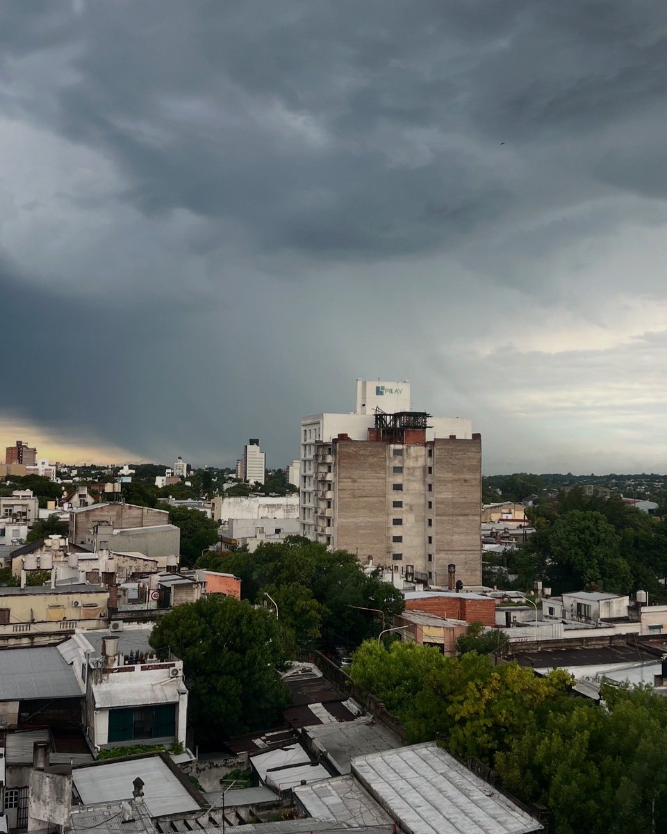 Canal 9 Litoral tweet media