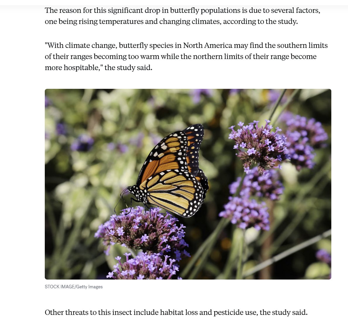 treebeing's tweet image. #biodiversityloss
#Butterfly populations are rapidly #declining, new study shows
#Climate change, #habitat loss and #pesticides use are the main threats. 
abcnews.go.com/US/butterfly-p…