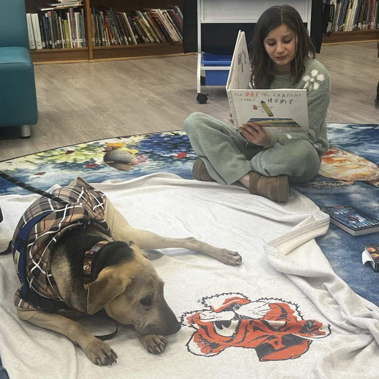 H.W. Mountz Elementary School tweet media