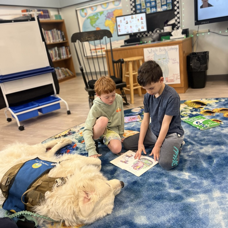 This week for Read Across America, students in grades K-4 enjoyed reading to some new furry friends....certified therapy dogs Foden and Earl, from the Monmouth County ASPCA.  Thank you to Mrs. Mason, and Mrs. Deaver, for making this experience happen! #mountzpride