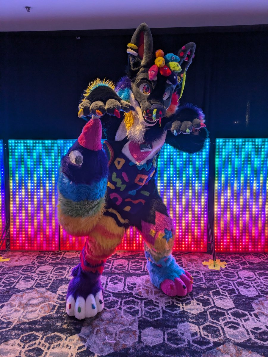 MorganasheBun's tweet photo. Happy #FursuitFriday !
📸: @KalunaPup https://t.co/88lEAKRtdA