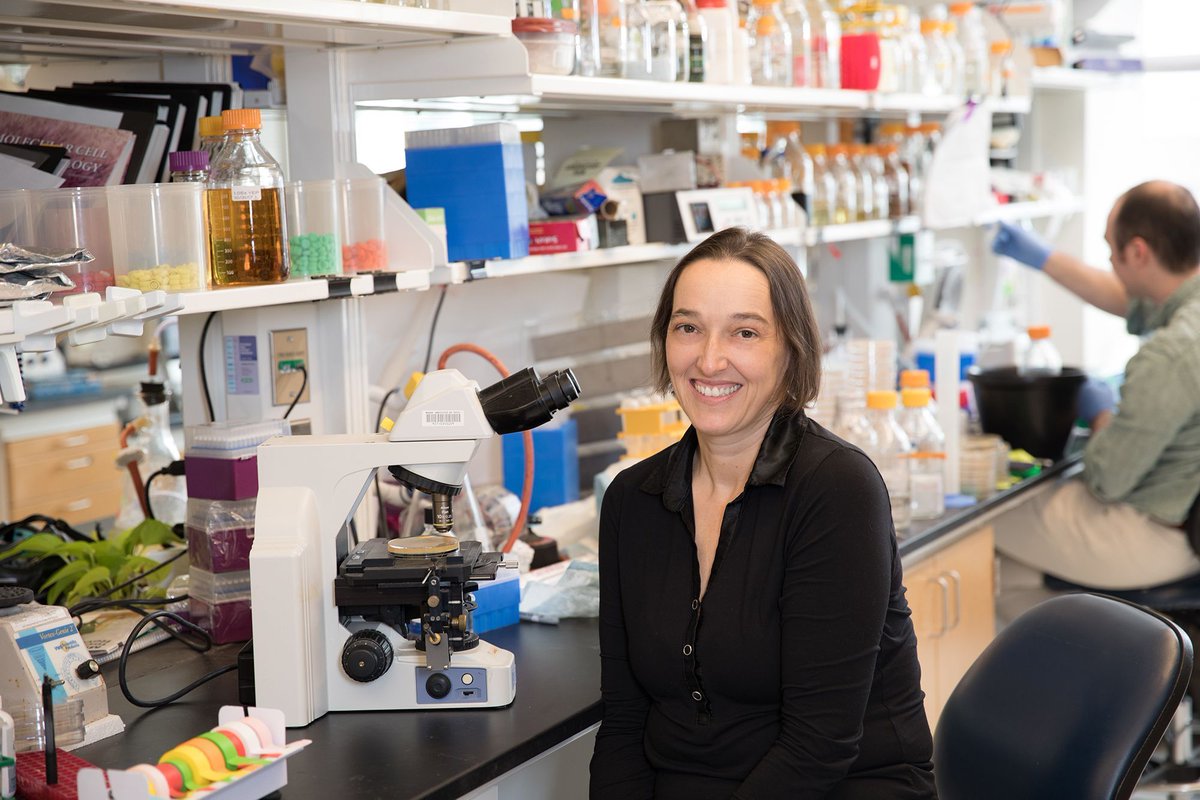 Are you a grad student pursuing the life sciences or biomedical research outside the U.S.? Applications now open for the Angelika Amon Young Scientist Award until June 13. Enter to win $1,000 USD &amp; a chance to present your work &amp; network w/ MIT faculty. 

buff.ly/F7s94vW