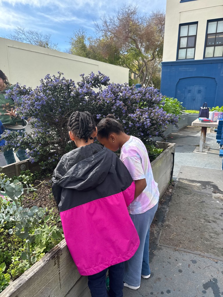 CommunityGrows tweet media