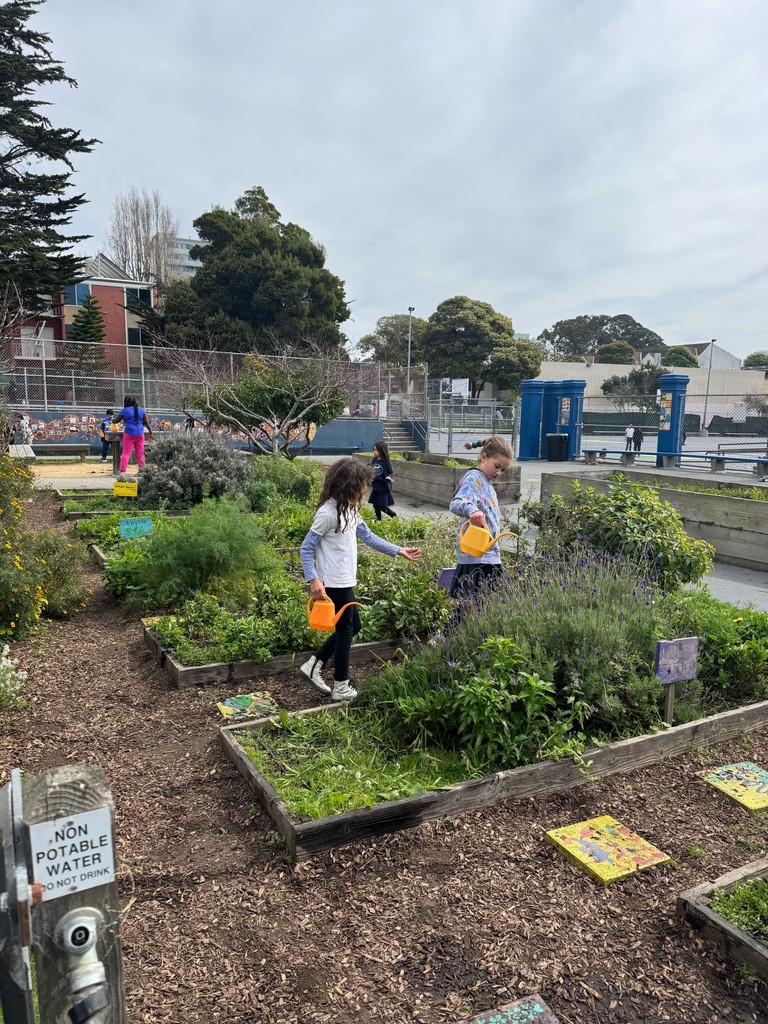 Perfect warm weather for watering the garden! ☀️🌿 Our awesome 2nd and 3rd graders even pitched in during their lunch break—future gardeners in the making! 💧🌱 #GrowingTogether #CommunityGrows
