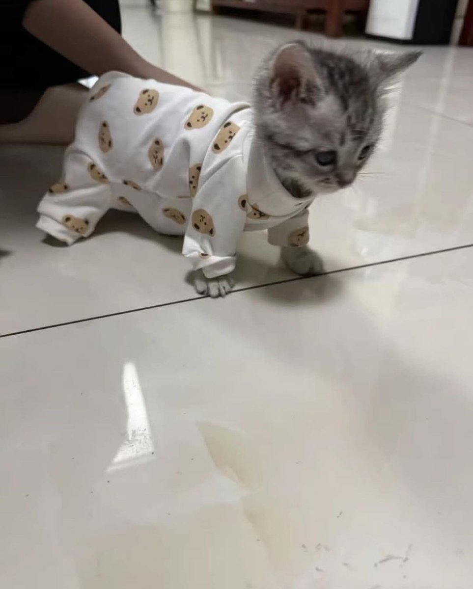 Ready for bed