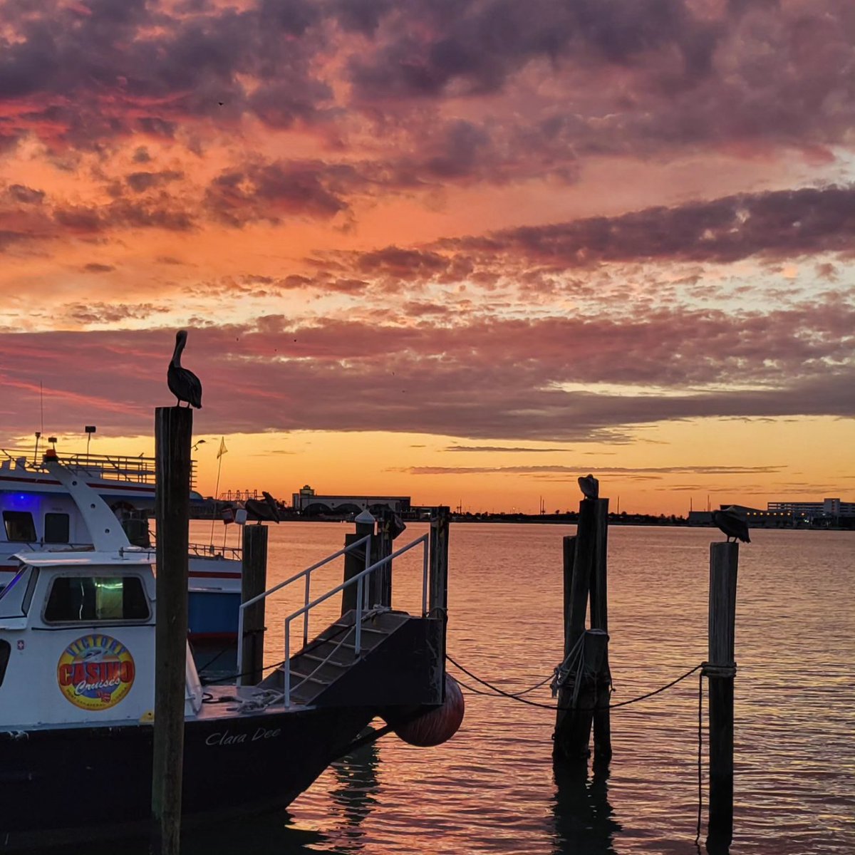 Catching up on this week's collection of sunsets and smiles! TGIF... from Rusty's at the Port!! (Thanks, Maddy, for the great pics!!) 😎👍🌅🚢🌴🍹#sunsetsandsmiles #tgif #nightshift #portlife #decklife #rustysfam #rustysseafood #portcanaveral