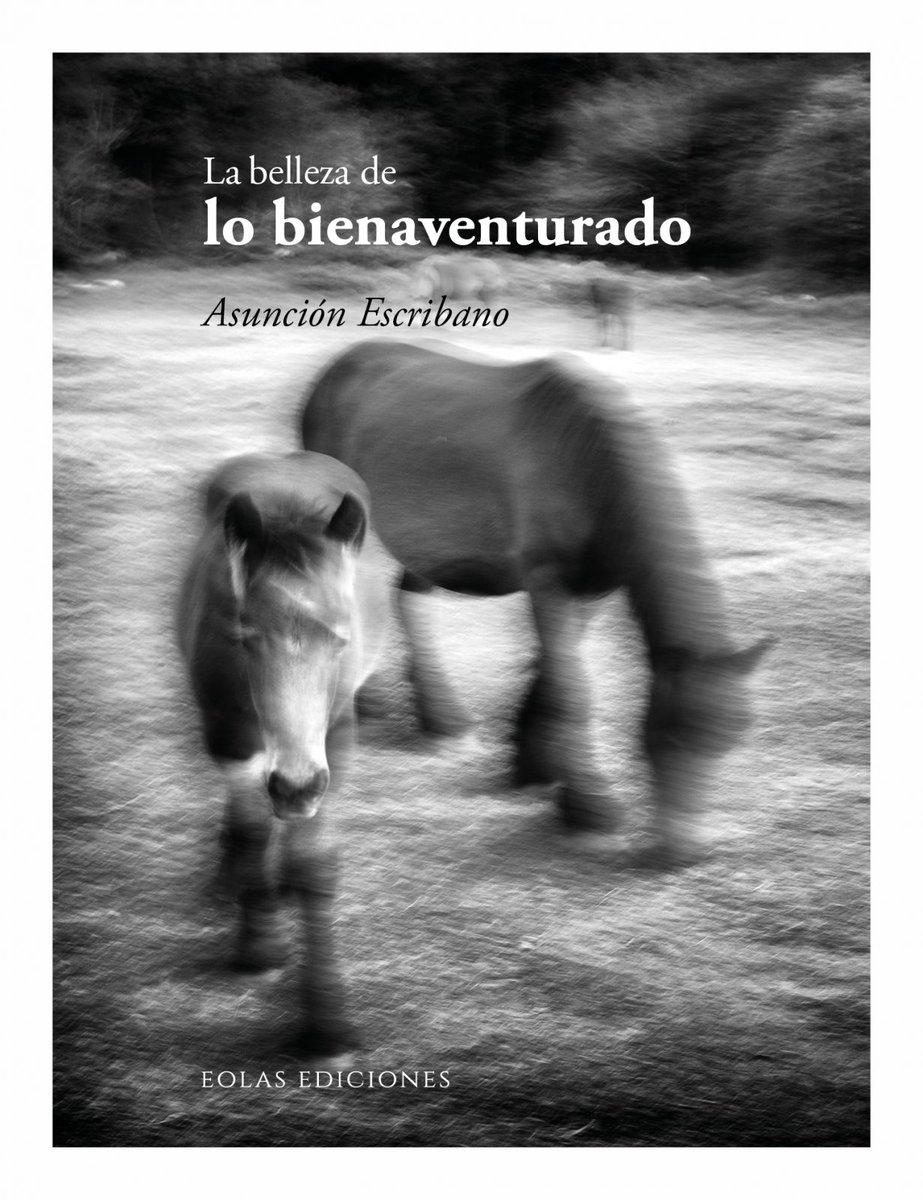 Finalista del Premio de la Crítica de Castilla y León. Qué maravillosa noticia. Qué maravillosa compañía. Estar aquí con estos escritores tan grandes es todo un honor. Gracias <a href="/eolasediciones/">Eolas Ediciones</a>
